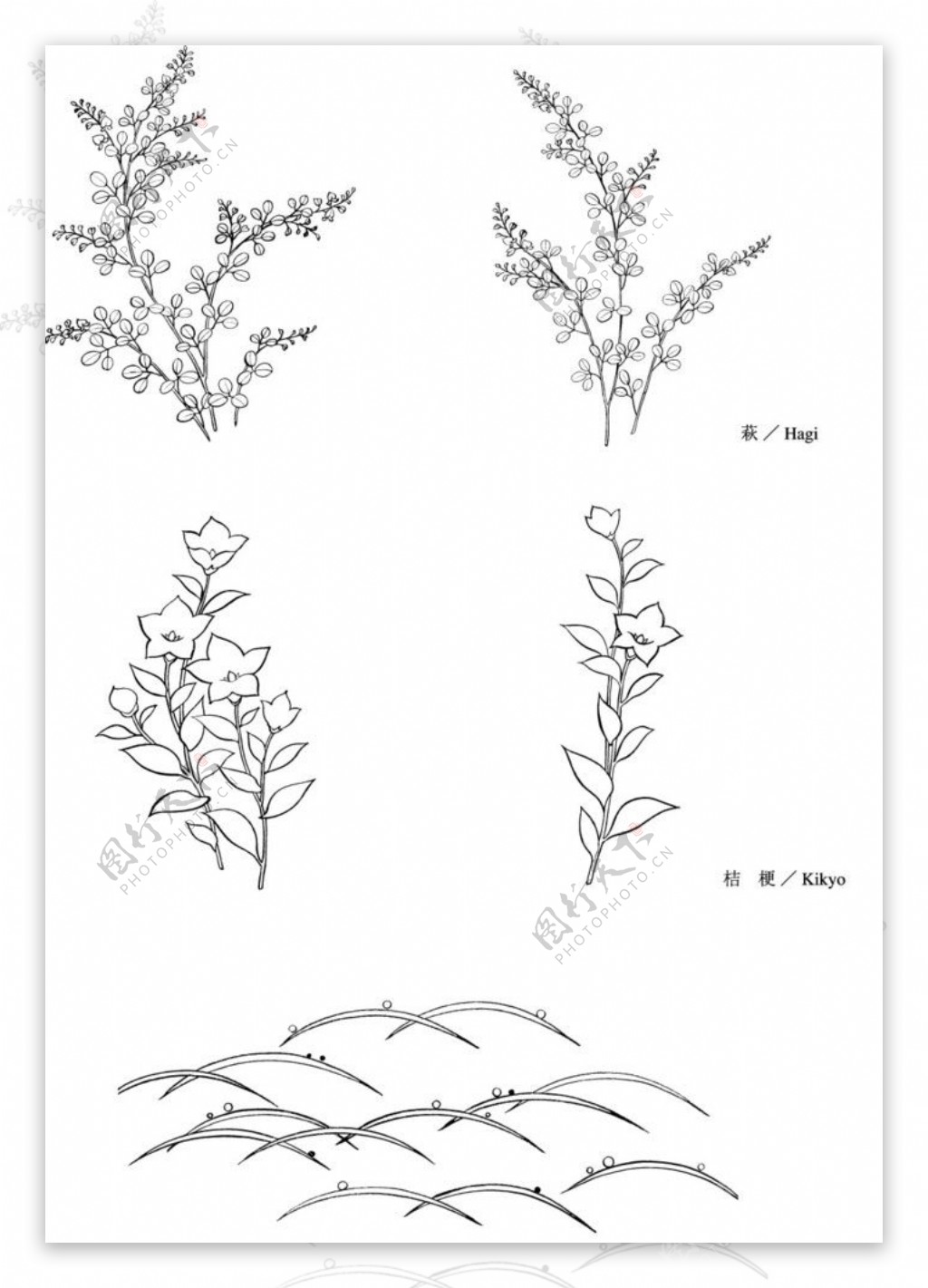 植物矢量图图片