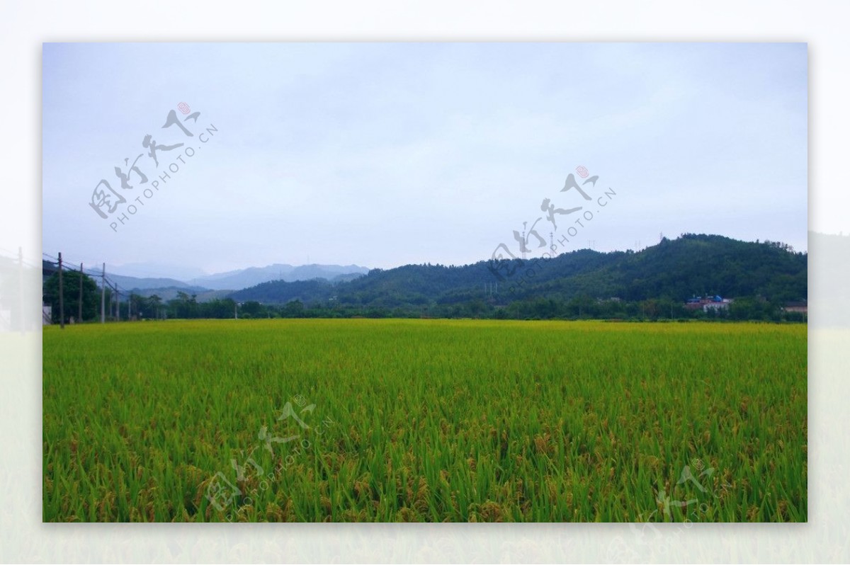 田园风光乡村山水图片