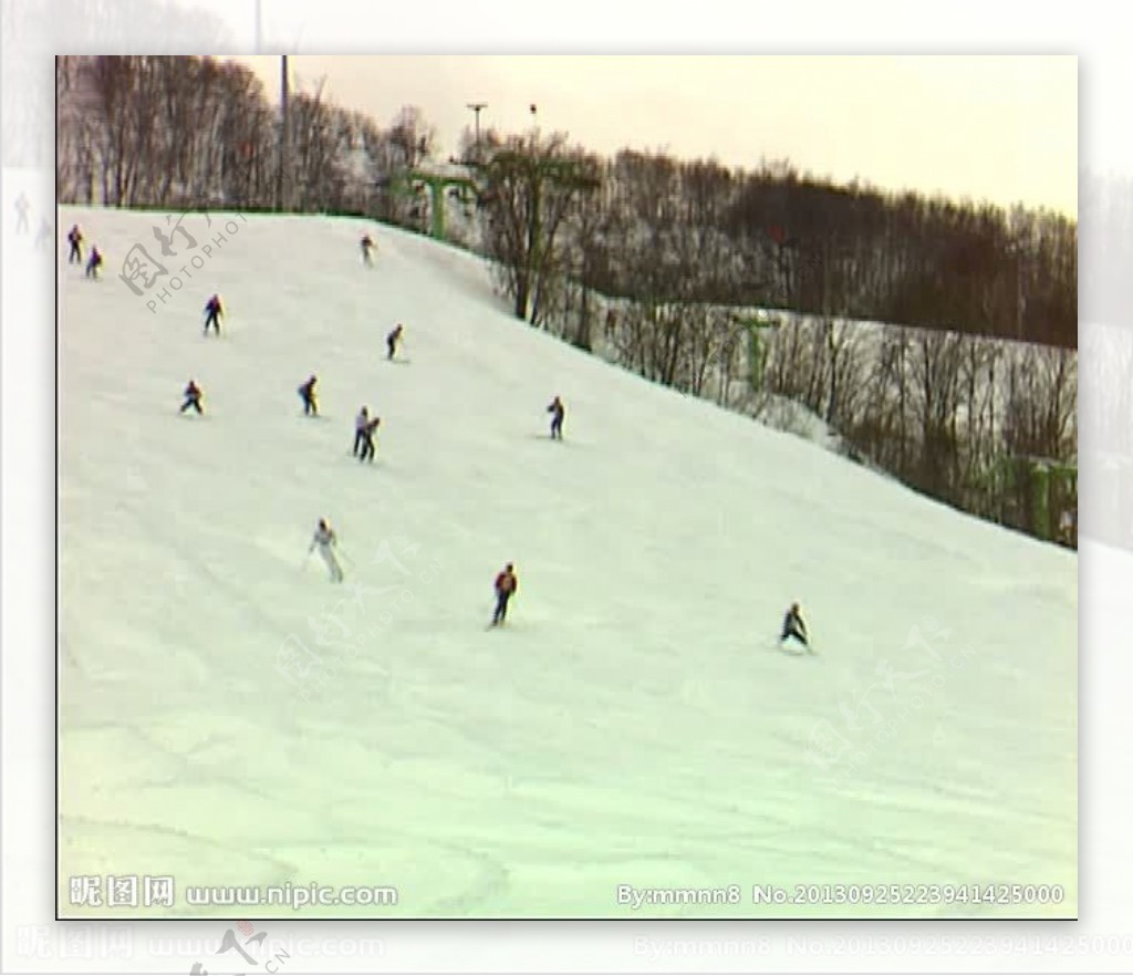 雪山滑雪森林视频素材