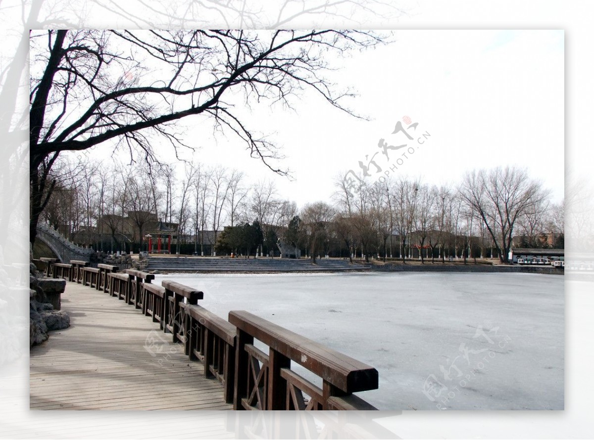 冬日公园图片