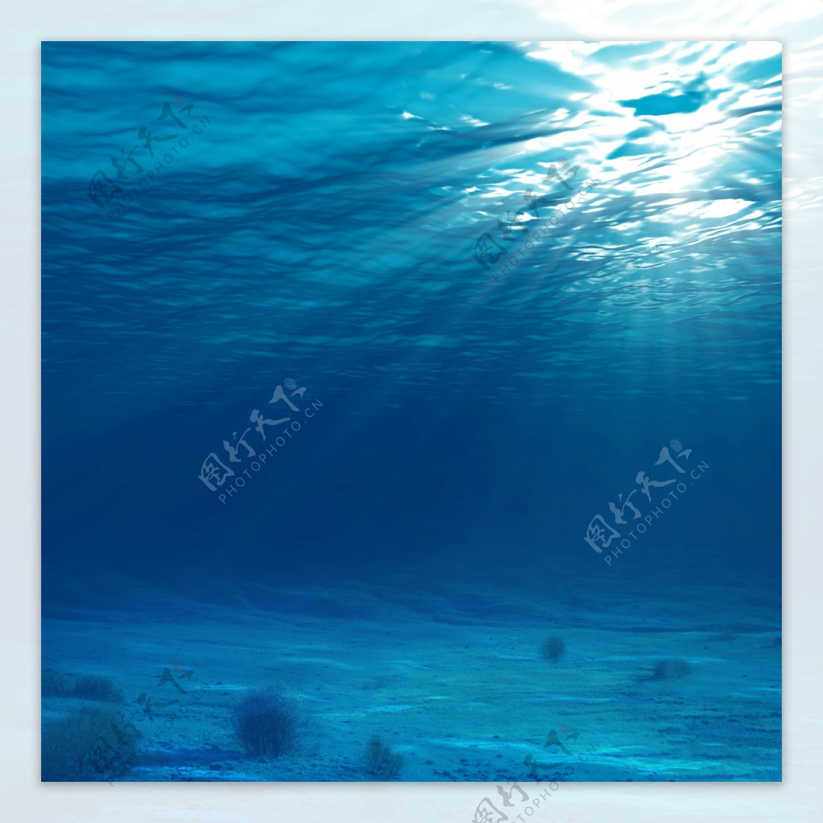 高清晰蓝色海洋群鱼壁纸