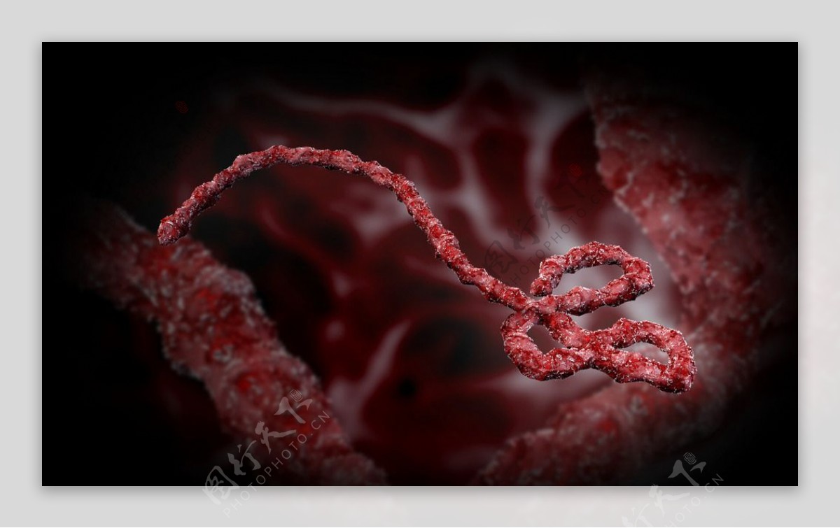 炫酷埃博拉病毒图片