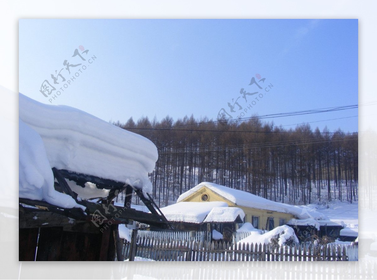 冬雪风景图片