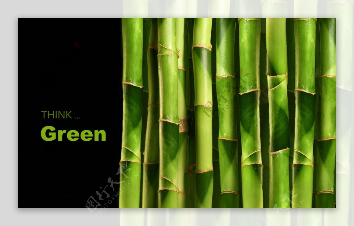 绿色竹子护眼壁纸图片