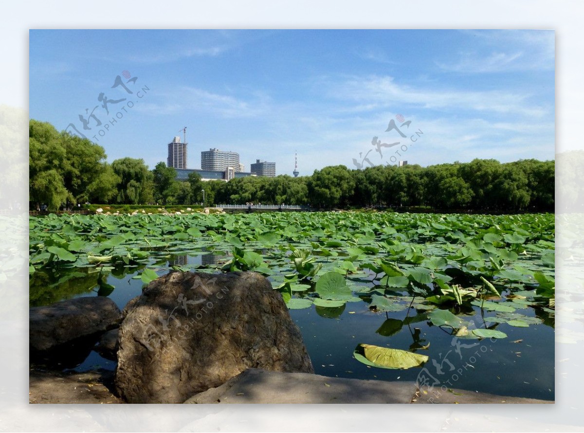 南湖风景图片