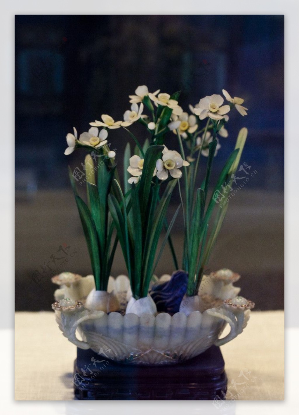 青玉菊瓣式盆水仙盆景图片