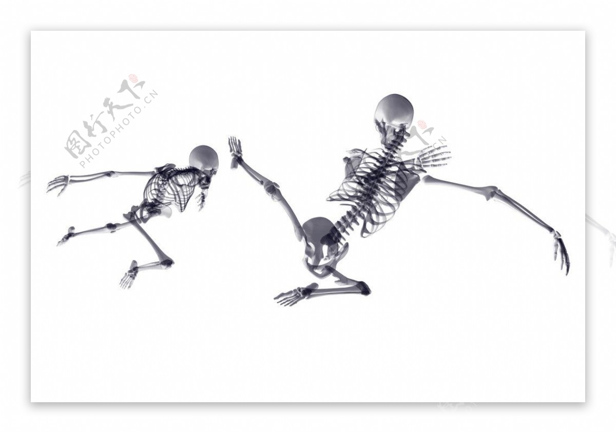 人体骨骼图片素材-编号09108009-图行天下