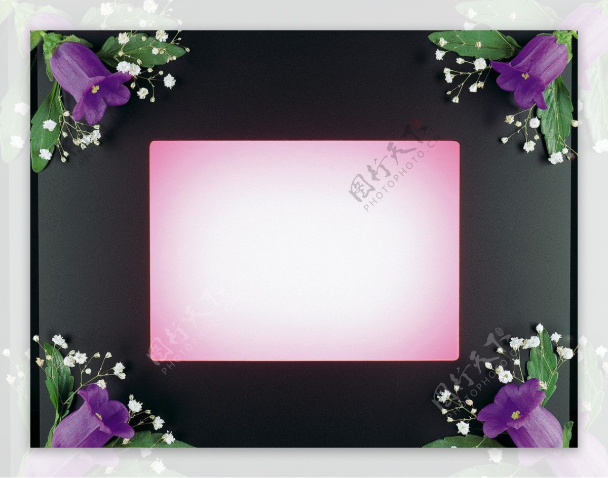 紫色小花相框图片