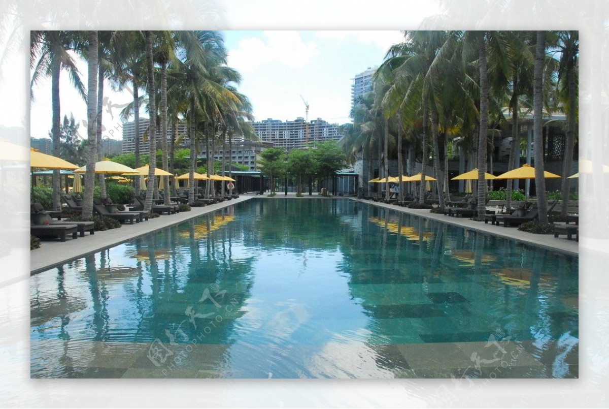 椰林泳池碧水图片