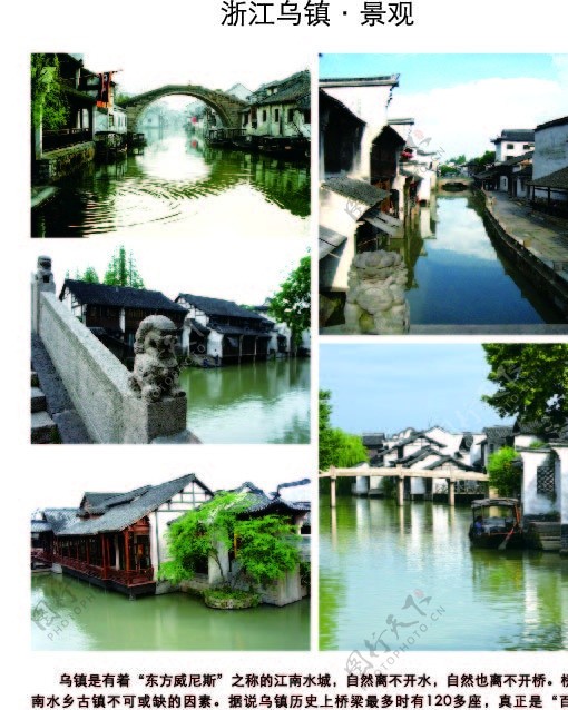 浙江乌镇景观小桥图片
