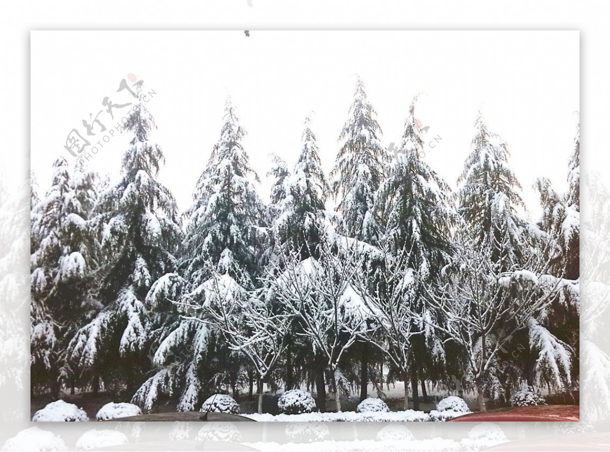 雪景图图片