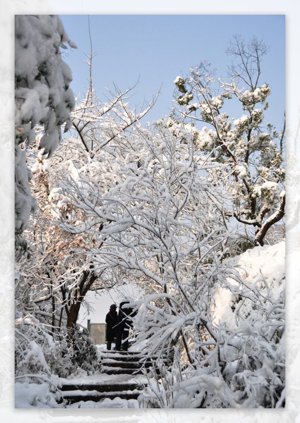 宝石山雪景图片