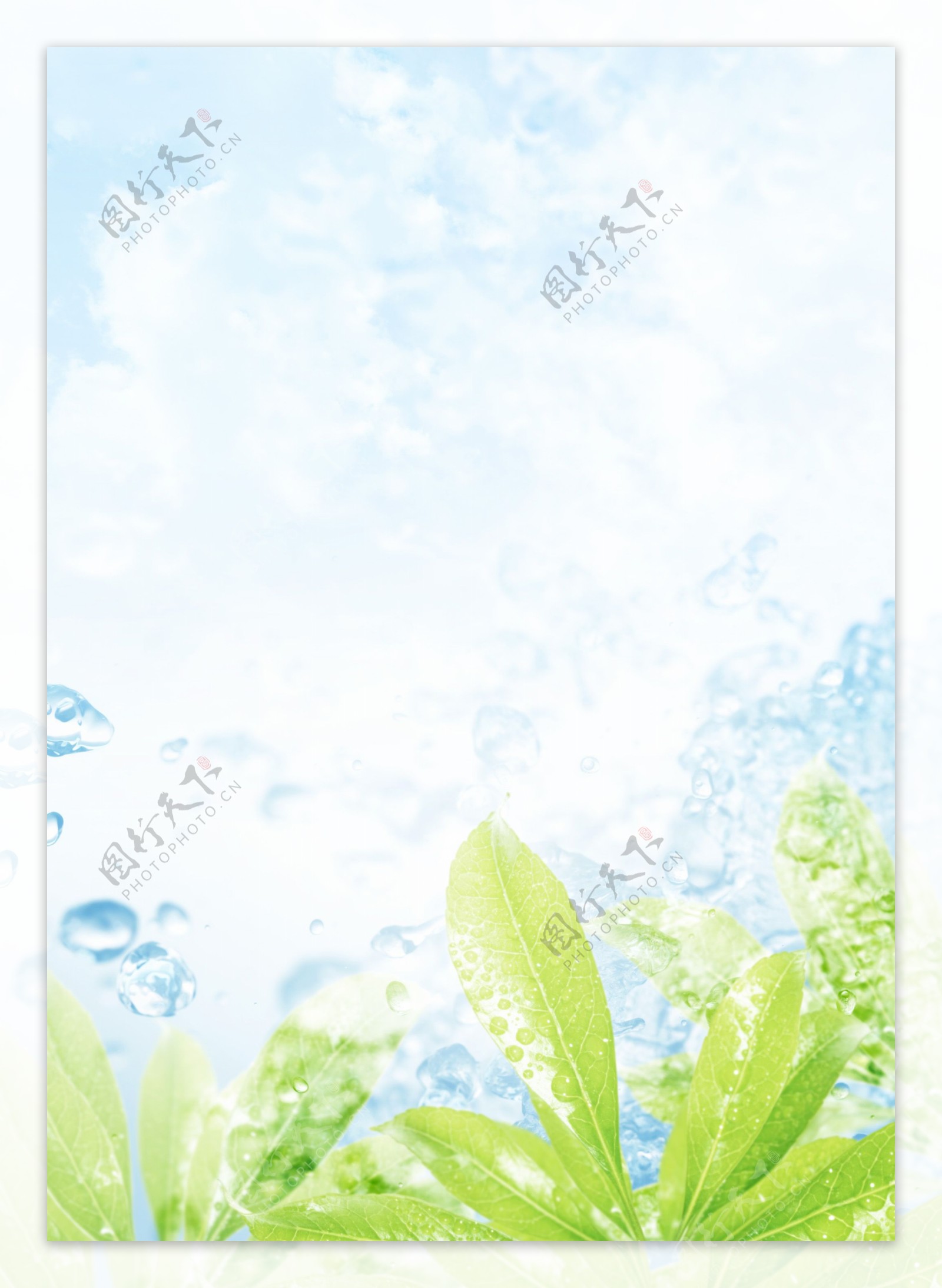 水天空树叶水滴阳光花图片
