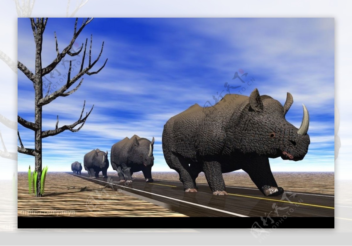 3D犀牛图片