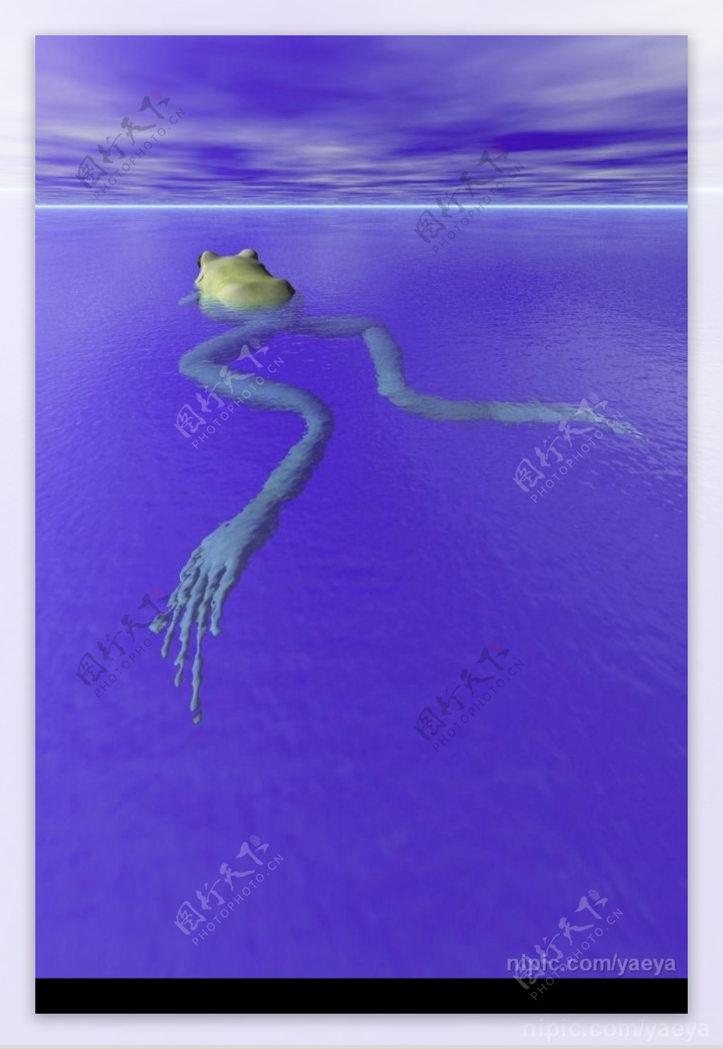 3D水面青蛙图片