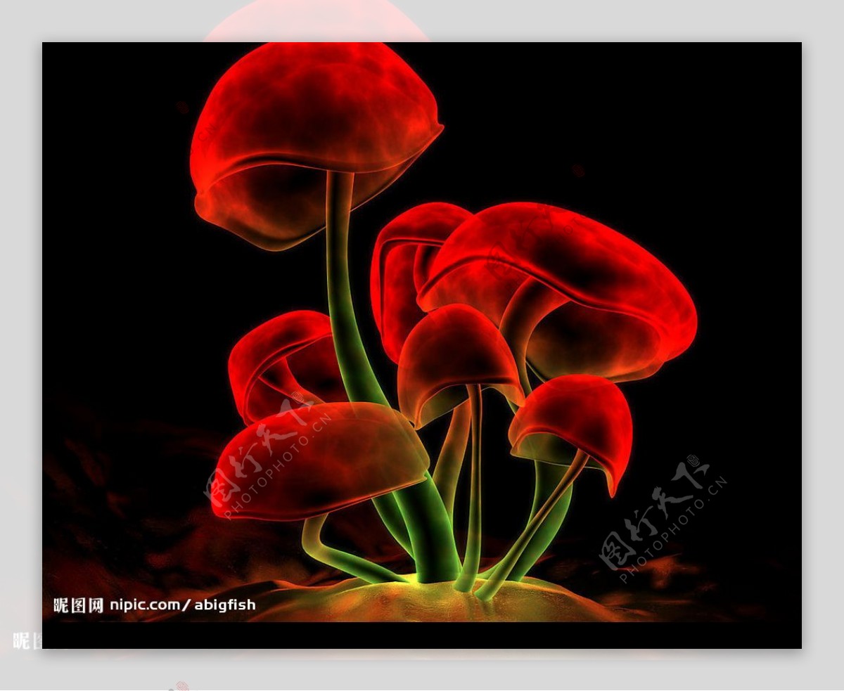 3D红蘑菇图片