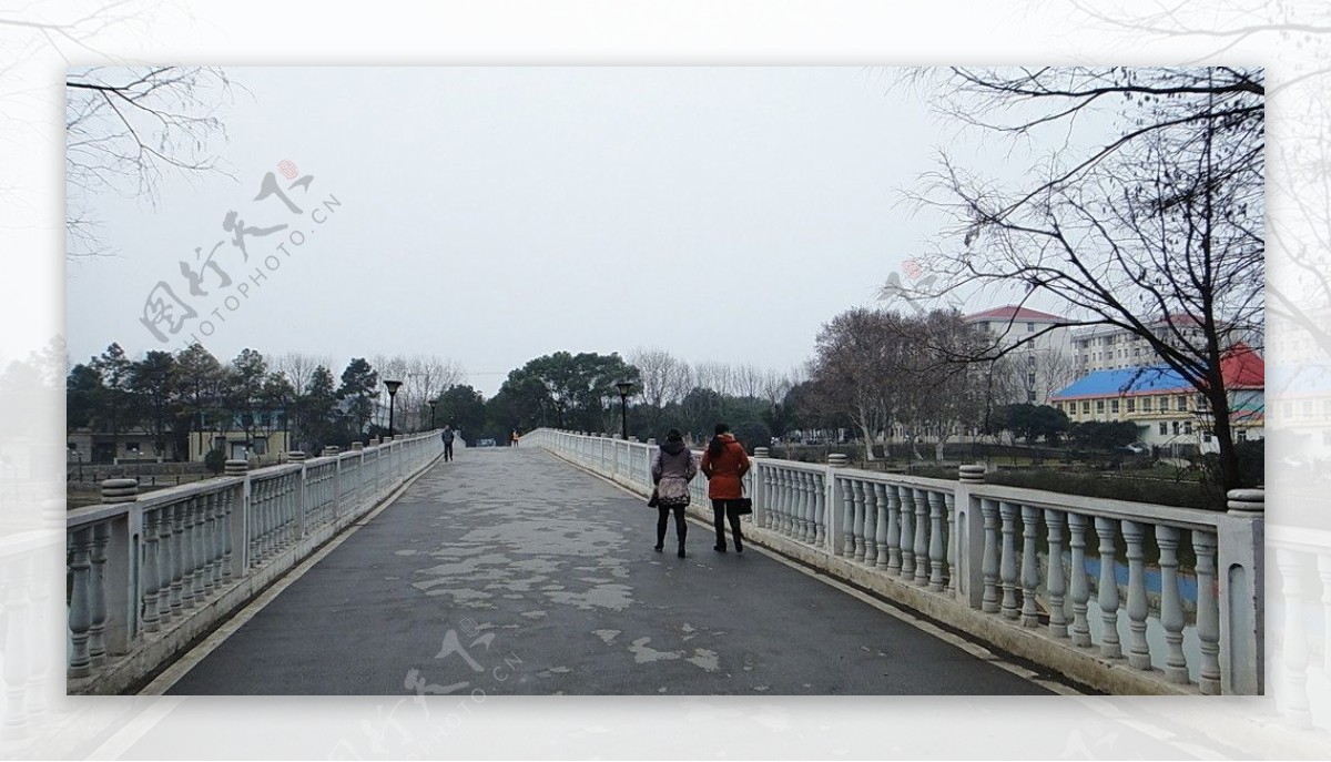 校园的湖桥图片