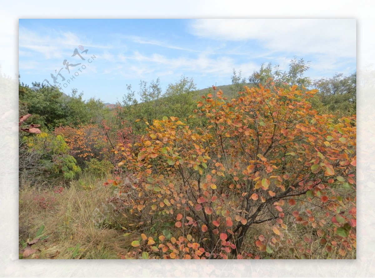 太室山秋季景色图片