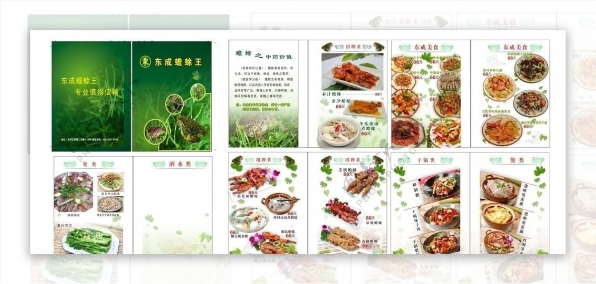 东城蟾蜍王菜谱图片