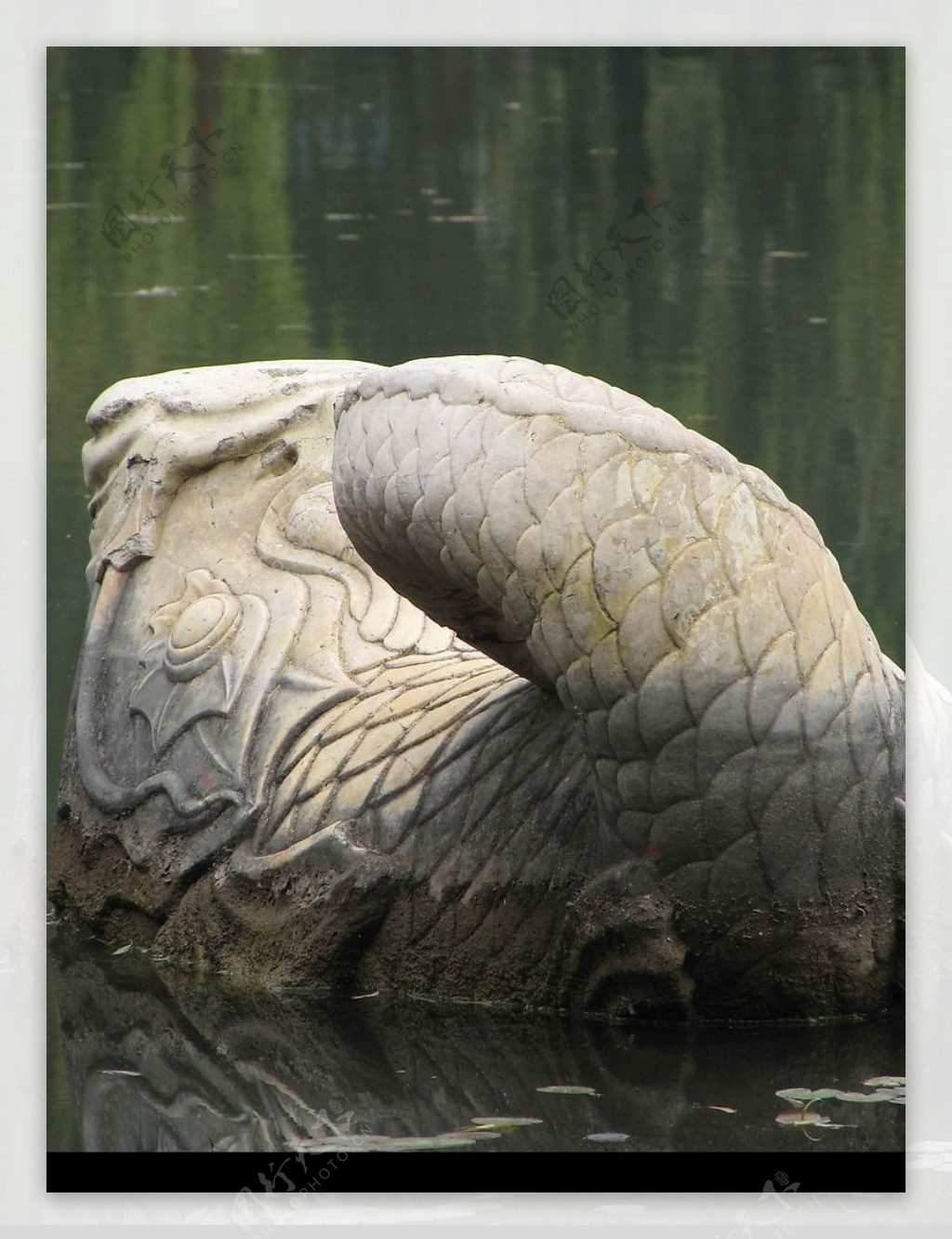 公园水池中的石雕鲤鱼图片