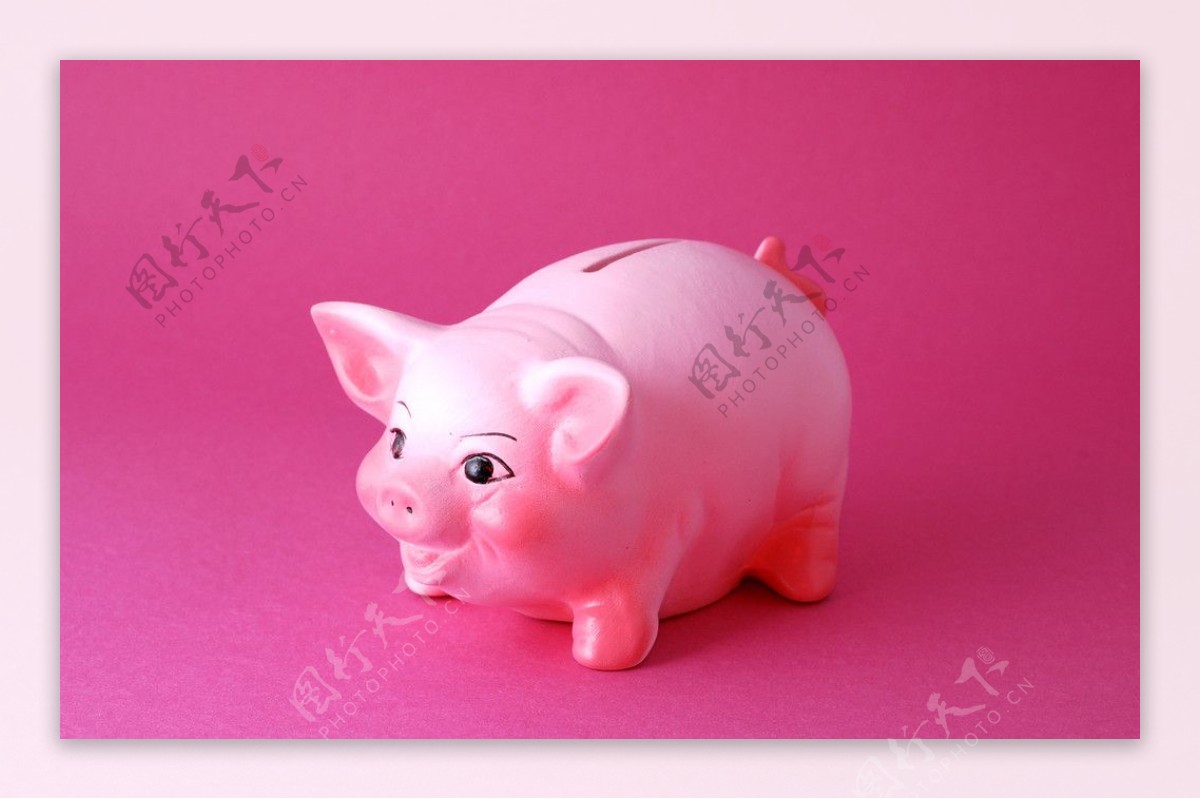 可爱小猪存钱罐图片