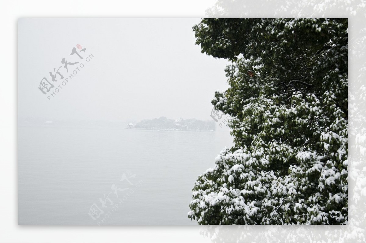 西湖雪景图片