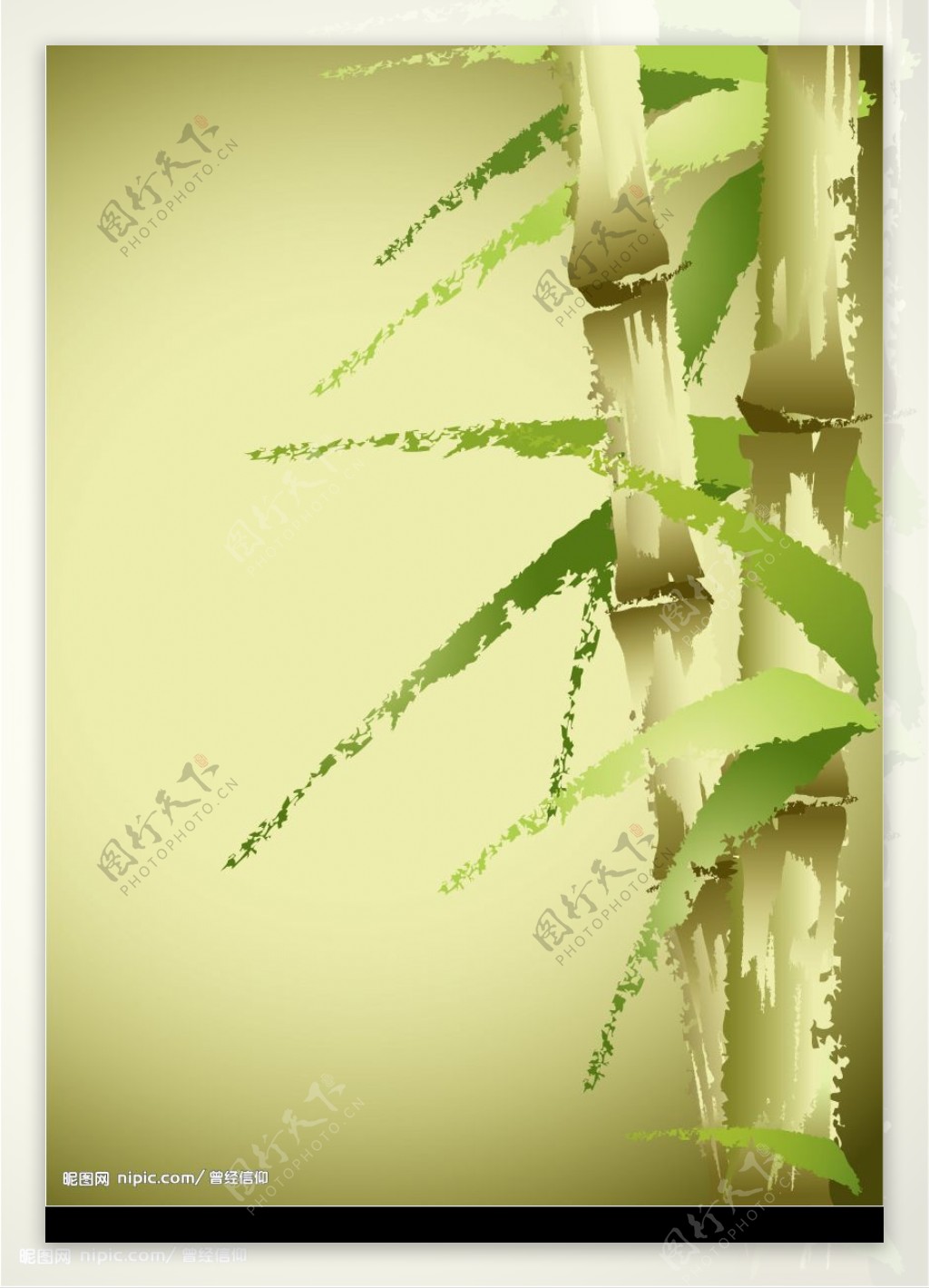 矢量植物背景图片