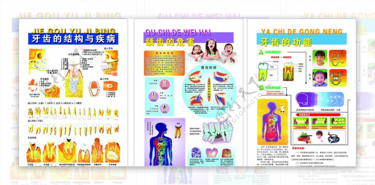 牙科宣传版面图片