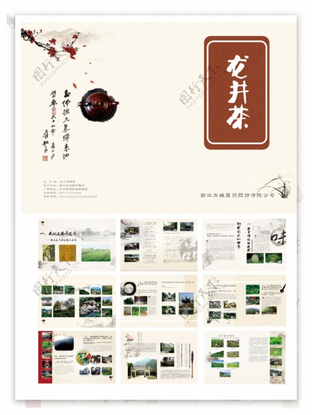 龙井茶画册图片