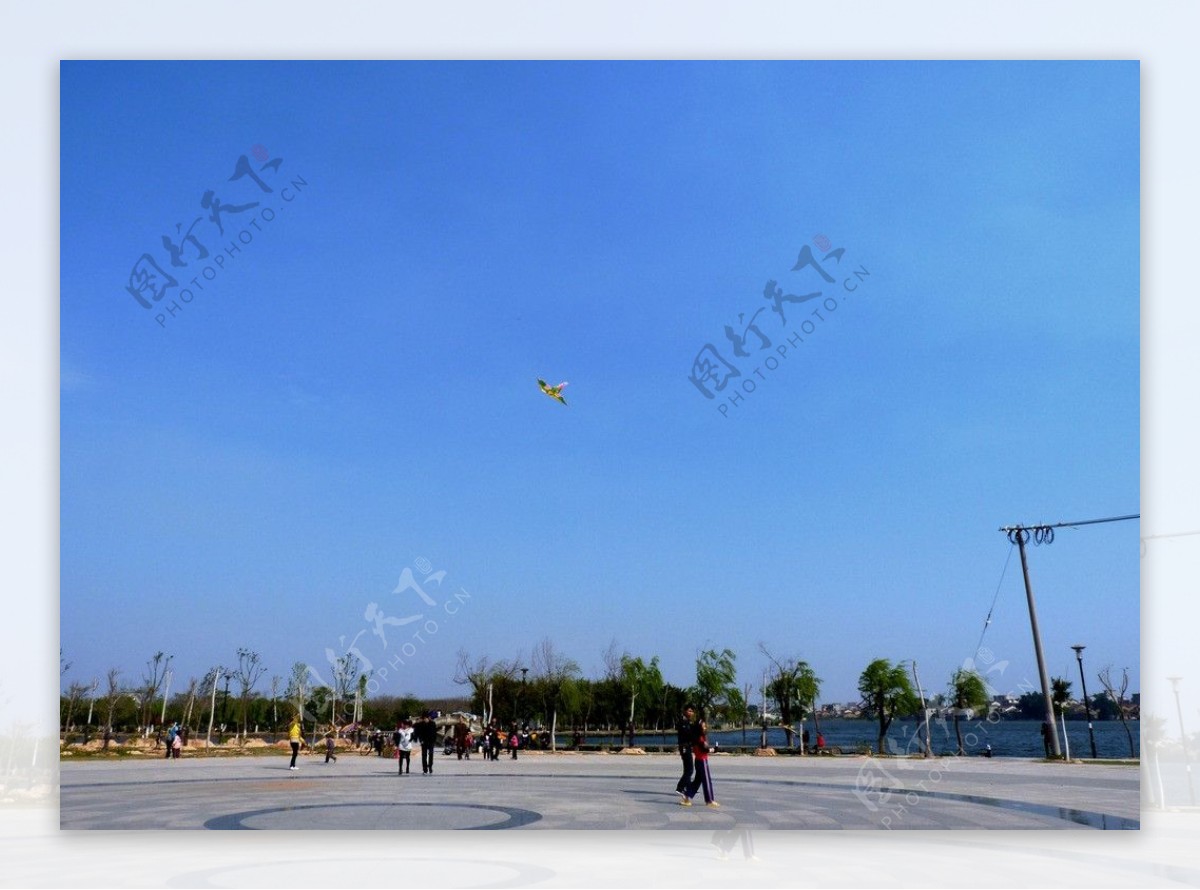 白塘公园广场放风筝图片