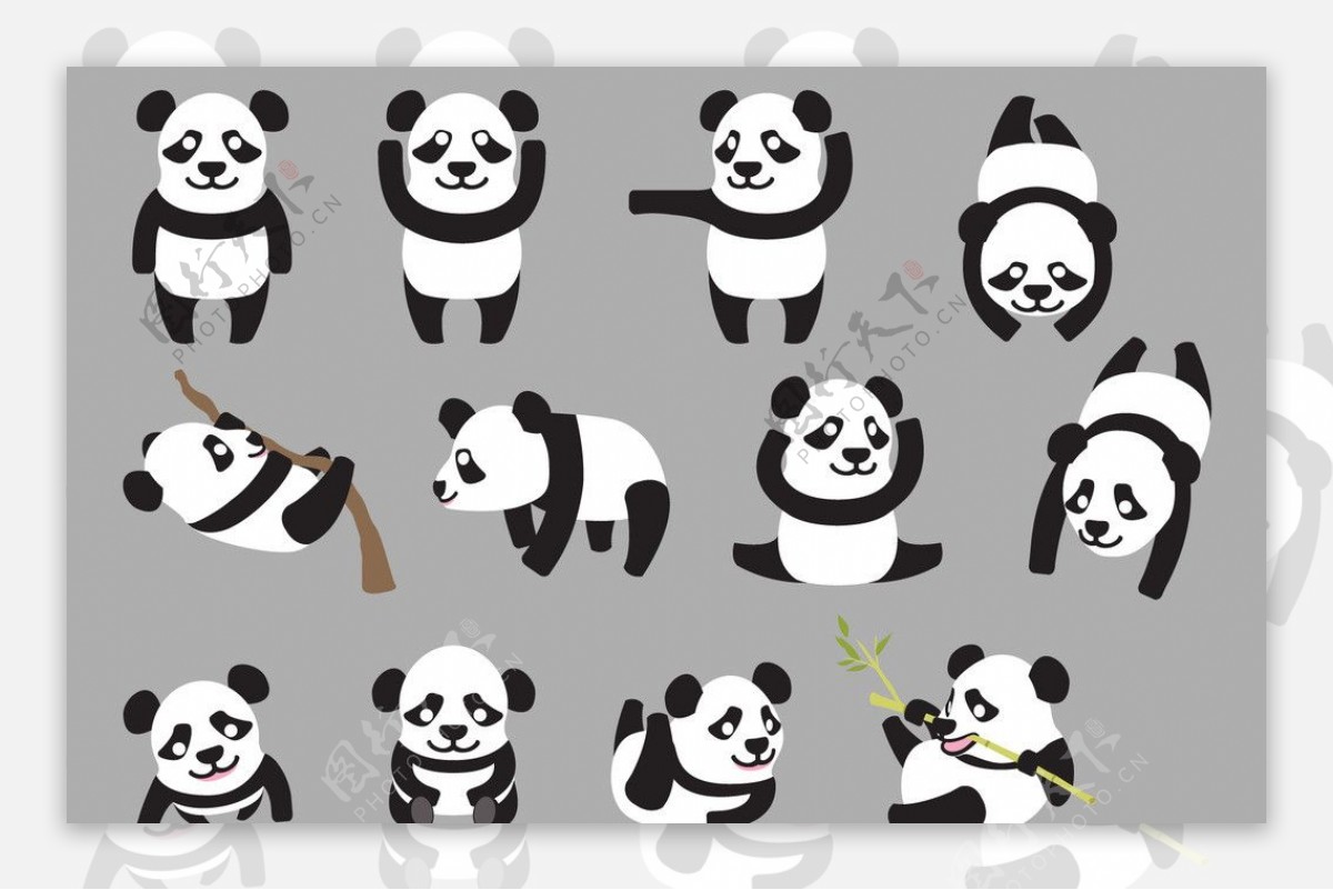 熊猫大图片