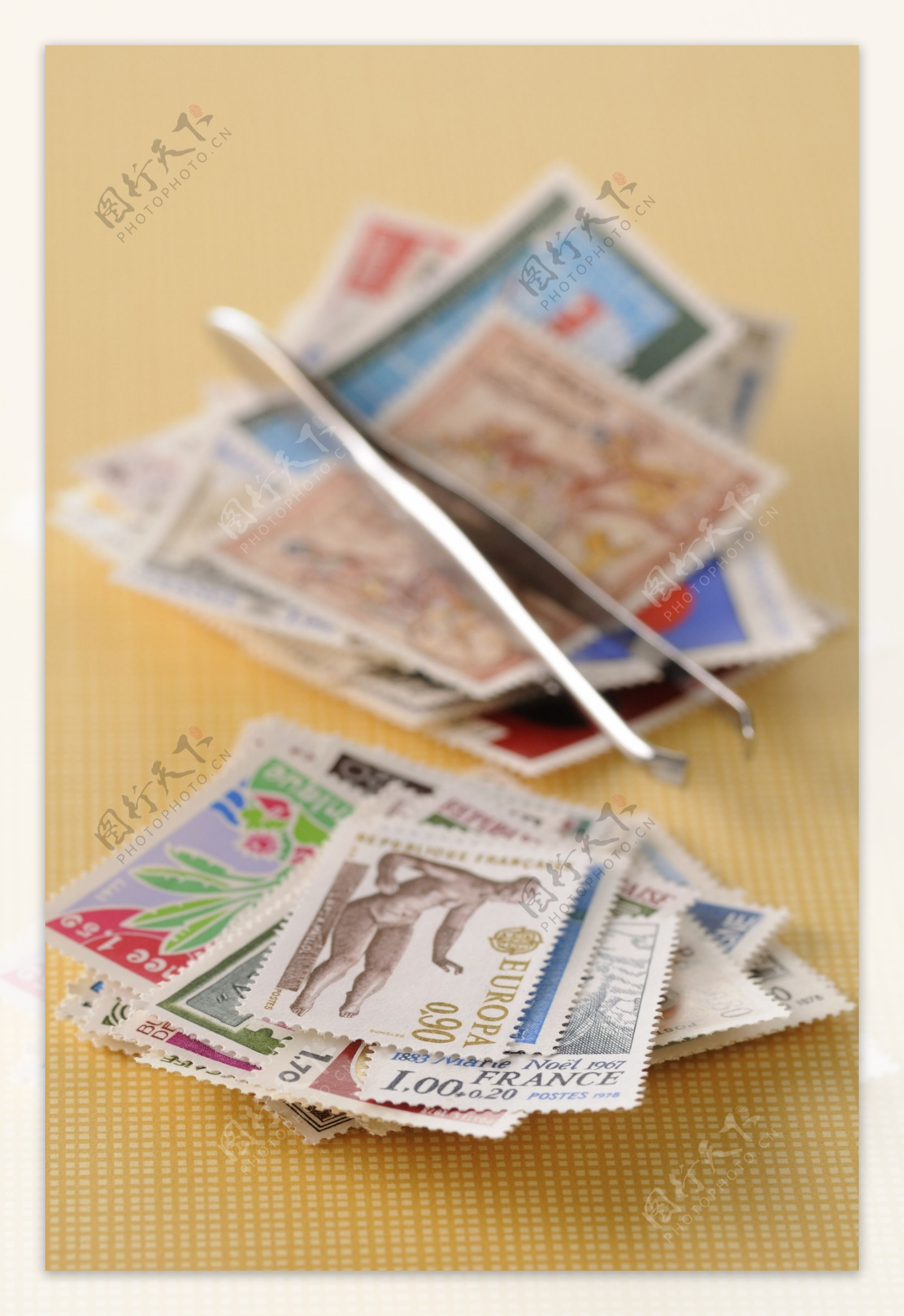 邮票镊子集邮图片