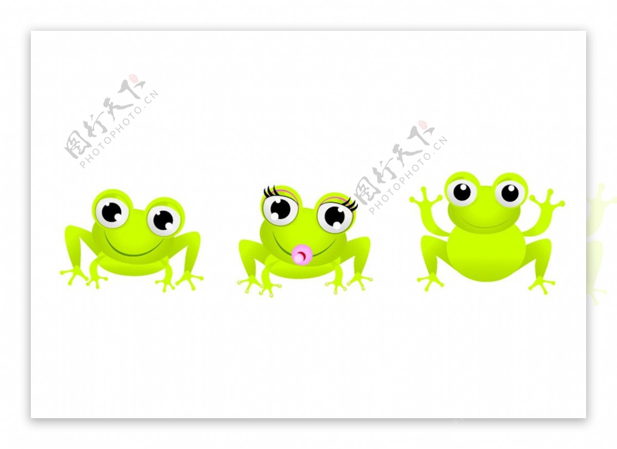 青蛙素材图片