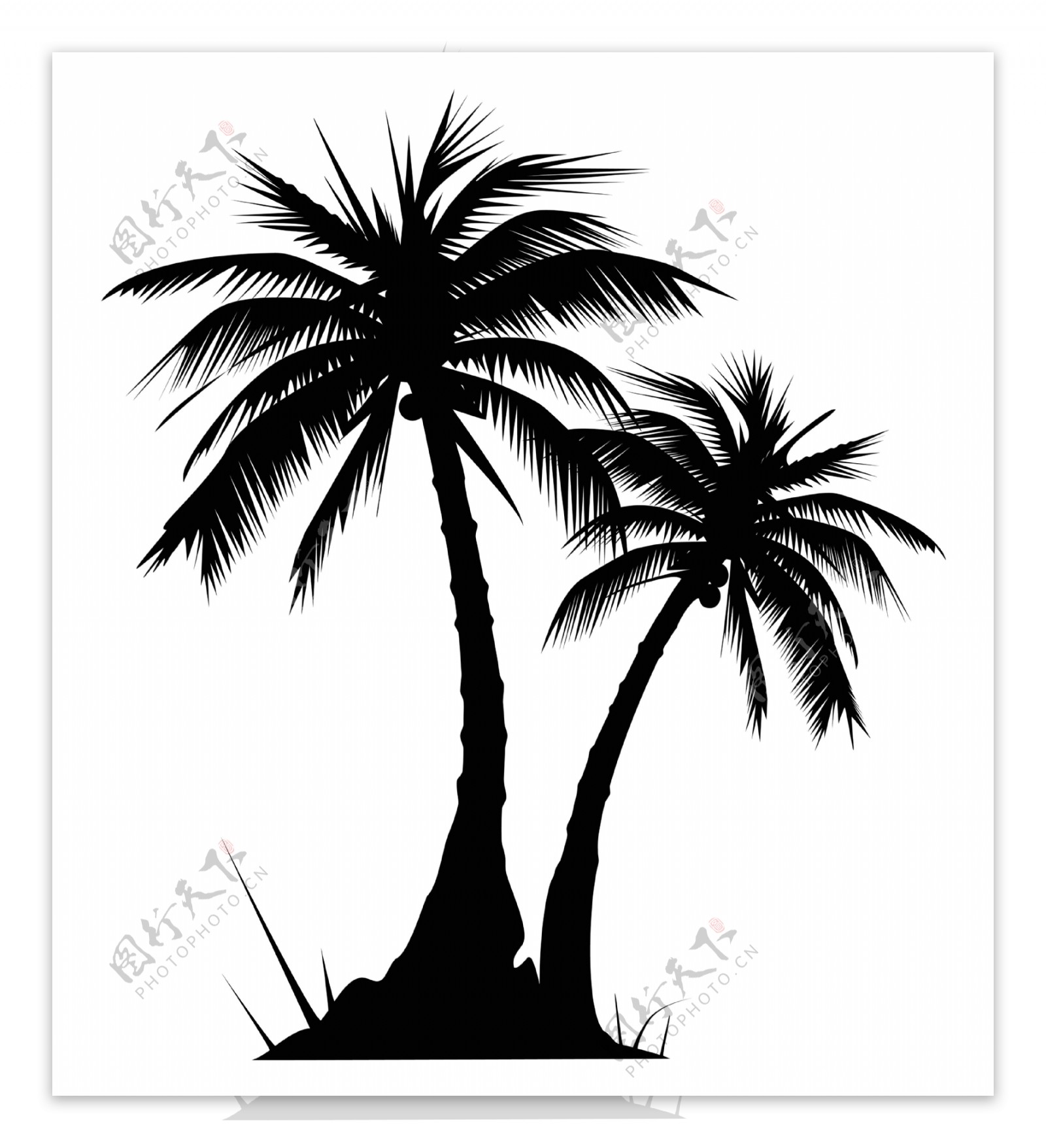 椰树剪影图片
