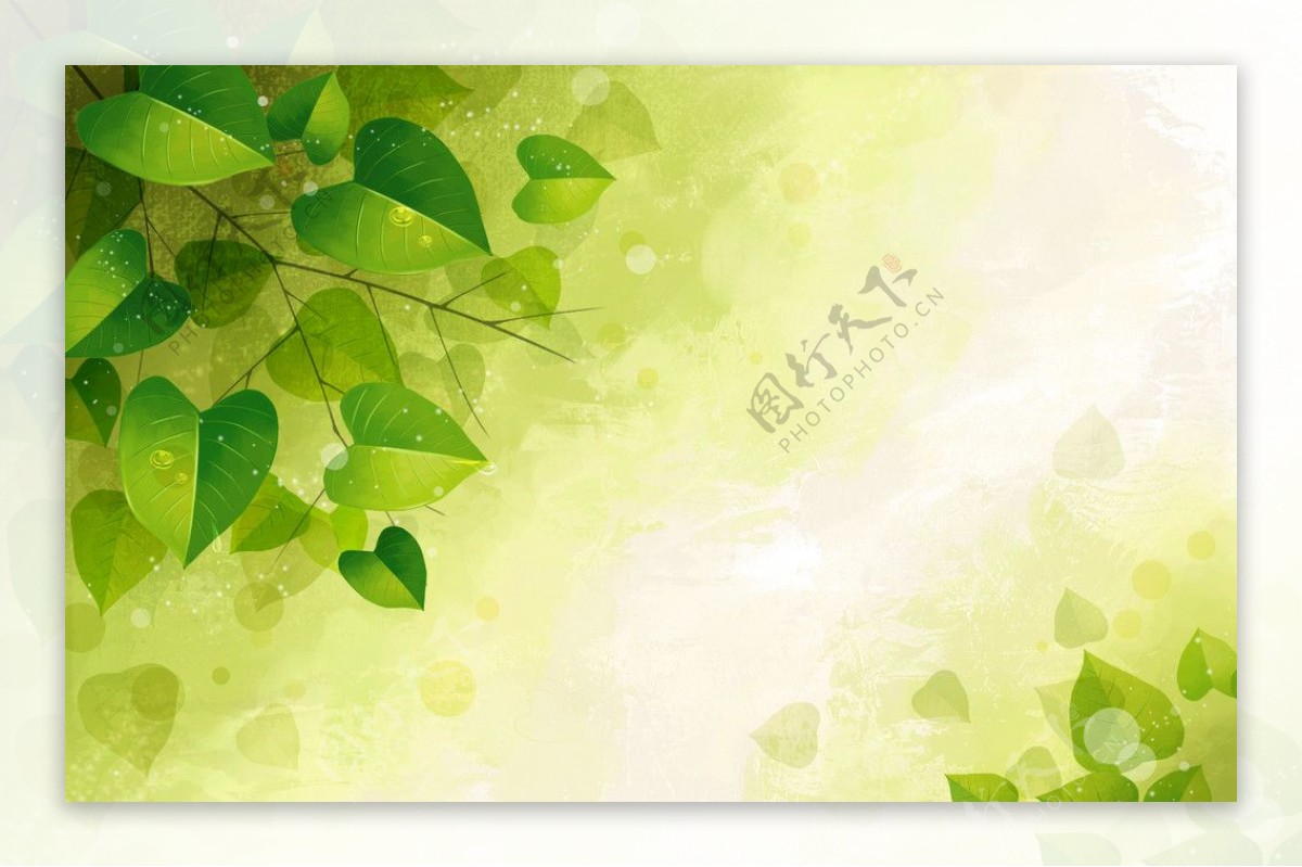 春夏季节清凉树叶背景图片