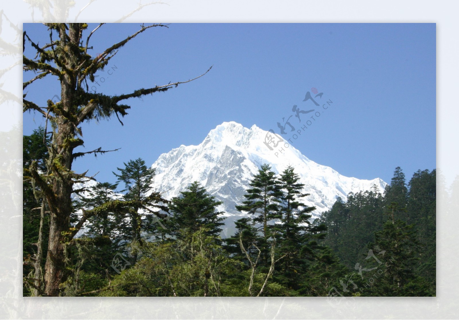 贡嘎山风光图片