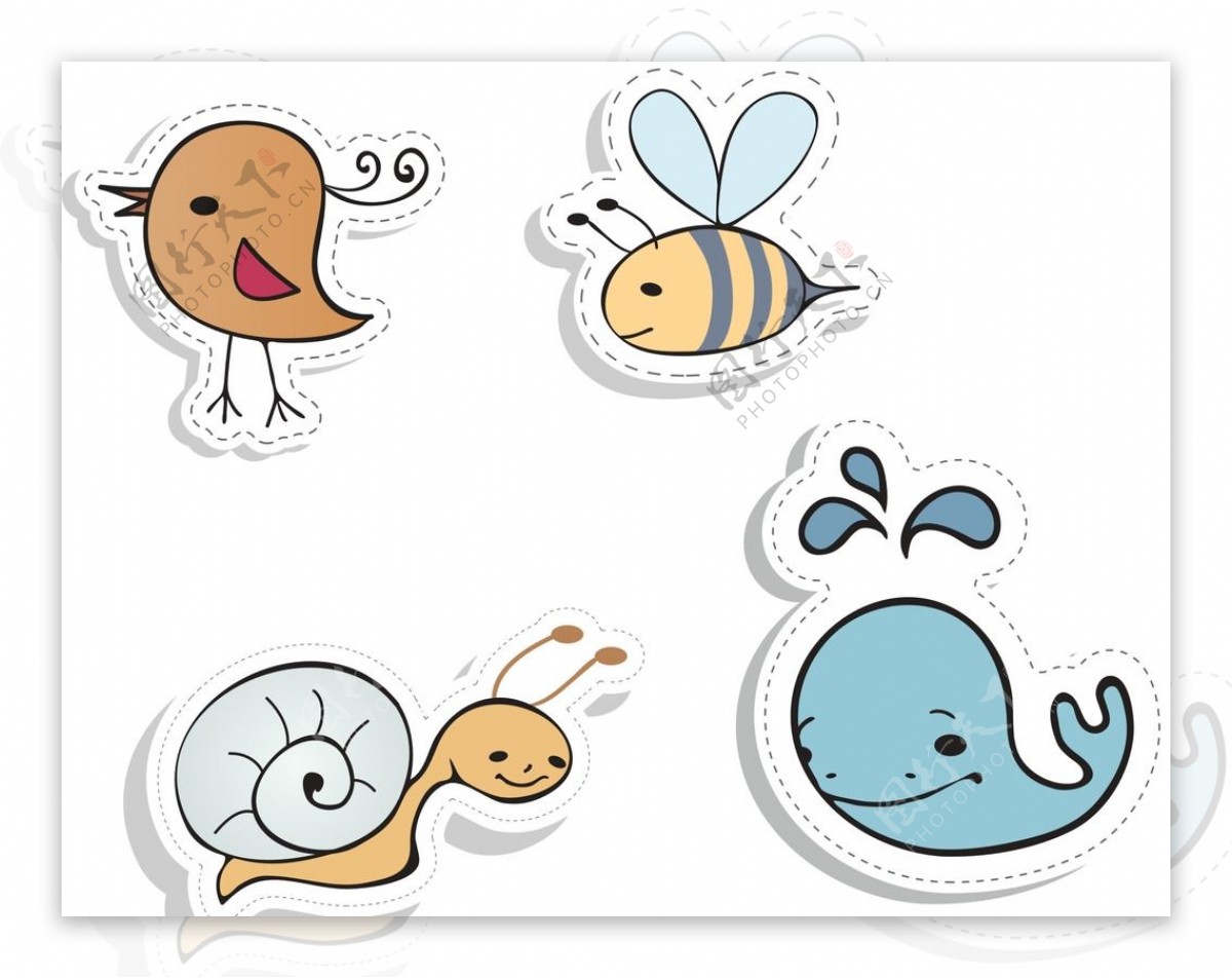 小鸟海豚蜗牛图片