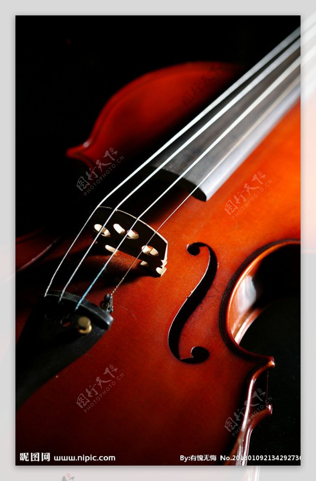琴弦小提琴图片