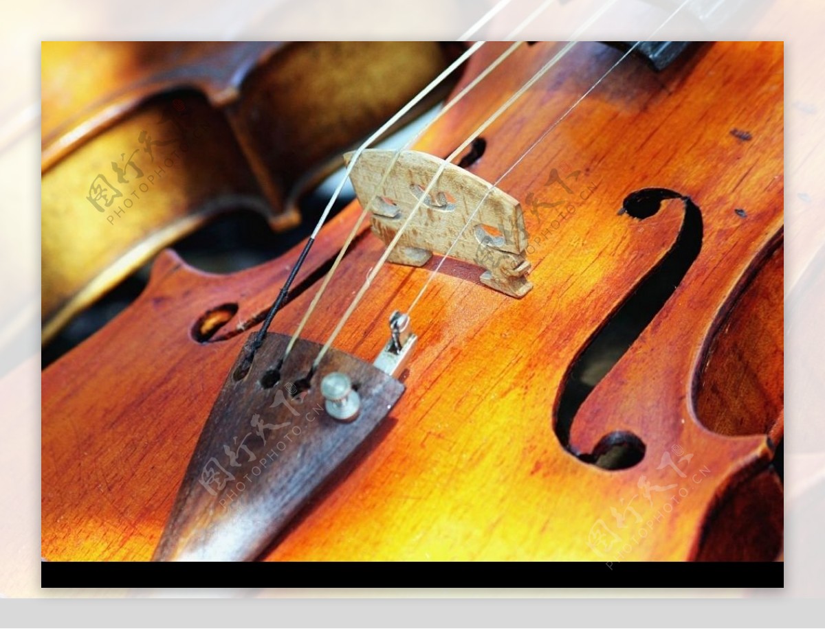 小提琴琴弦图片