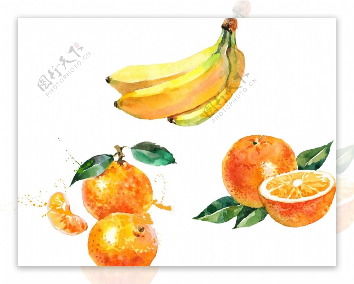 香蕉橙子油画图片