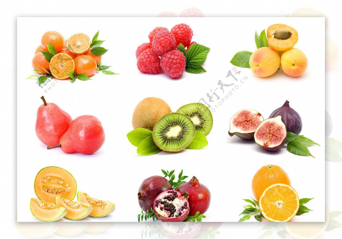 水果水果效果图图片