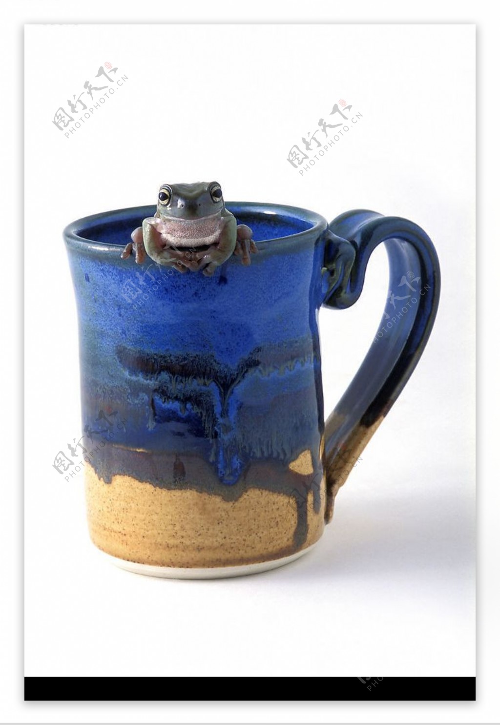 蓝色杯子上的青蛙图片