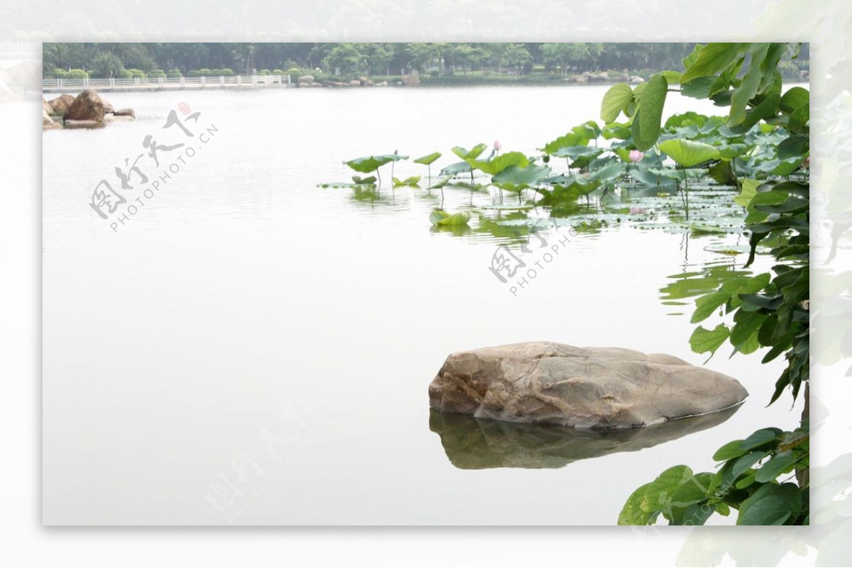 湖中景色图片