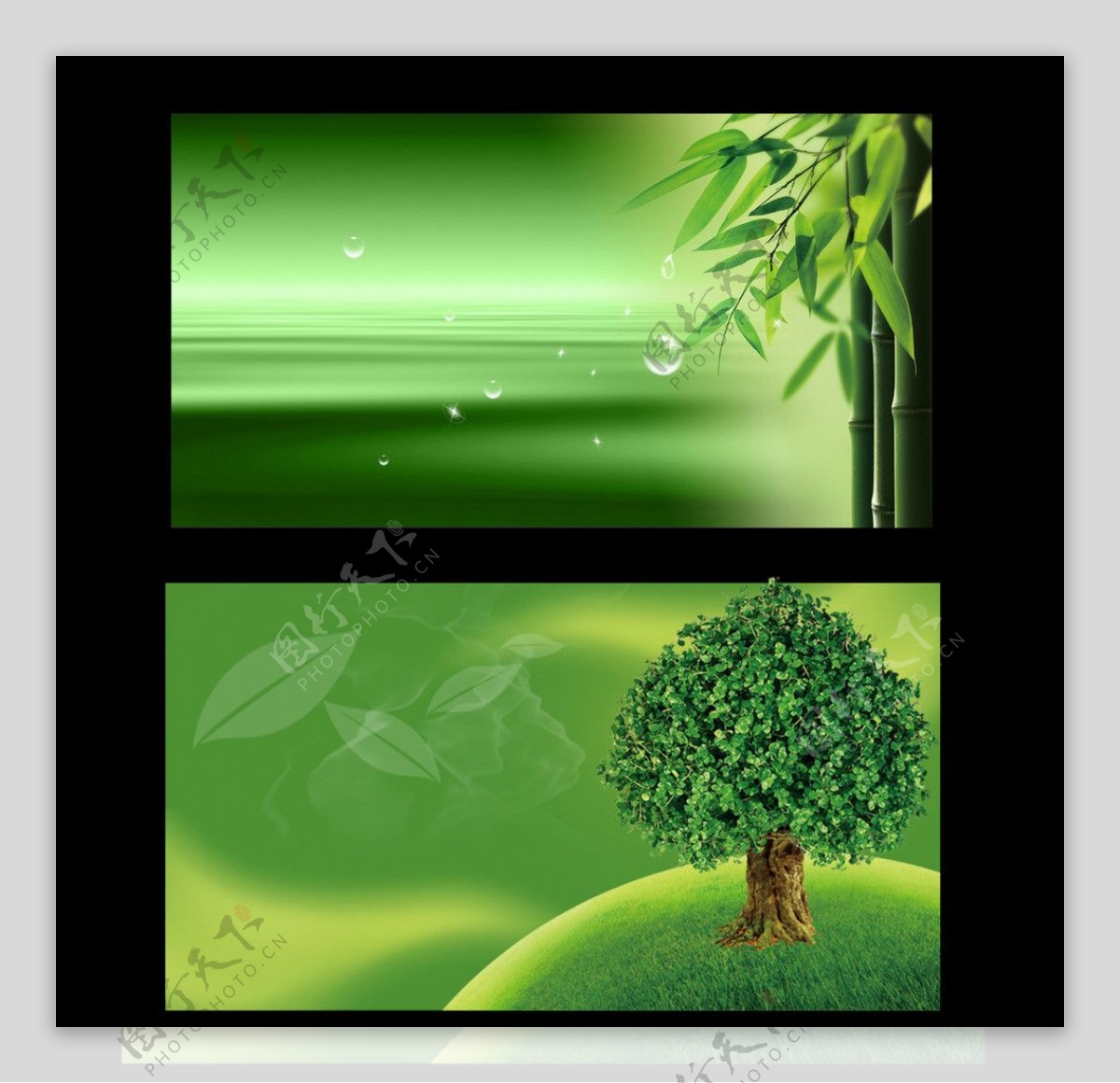 绿色竹子树木背景海报图片