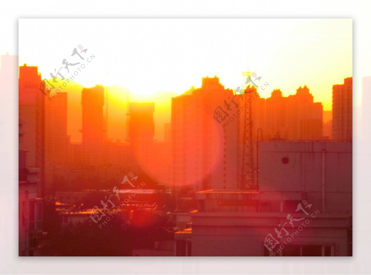 阳光下的城市图片