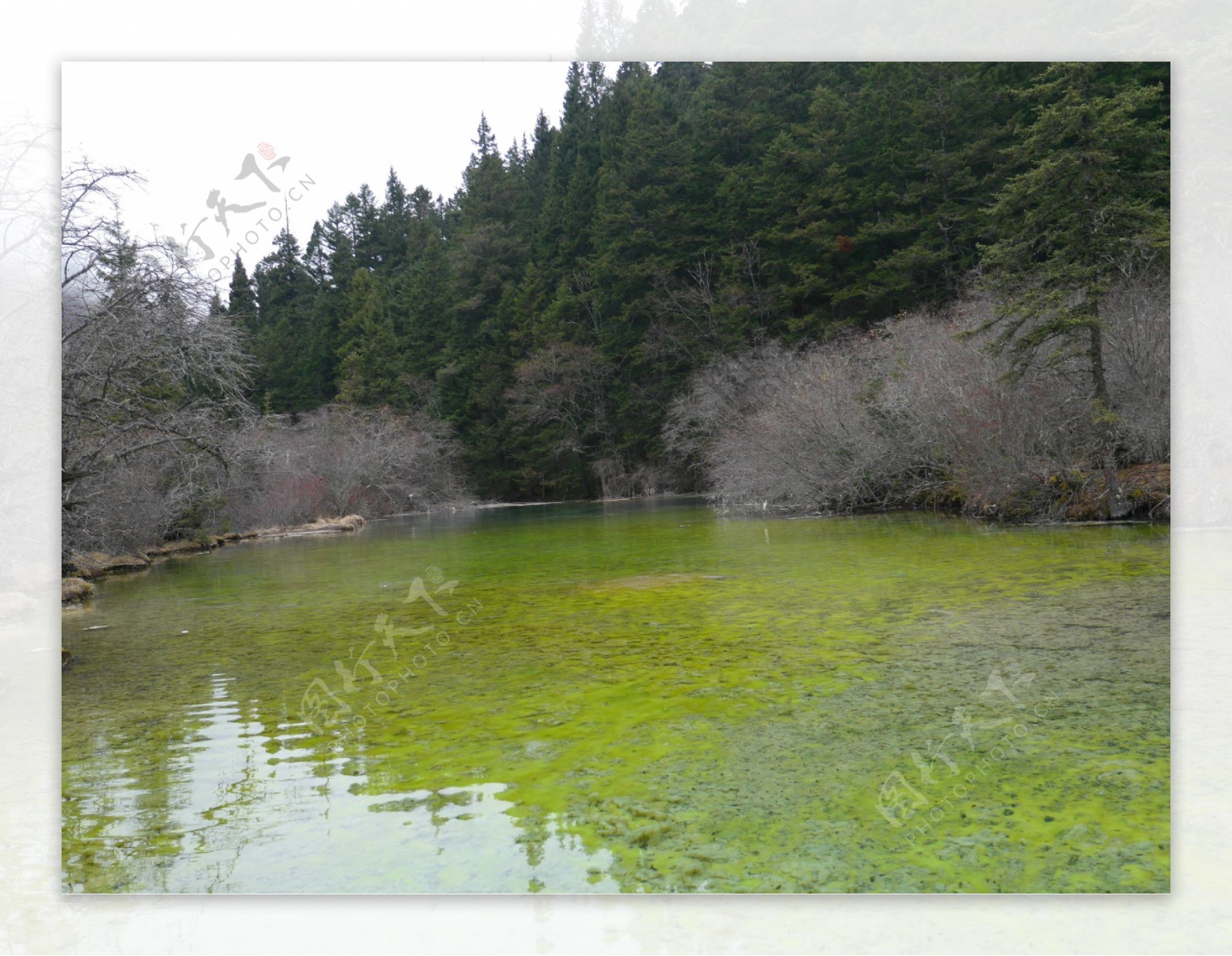 九寨沟山水图片