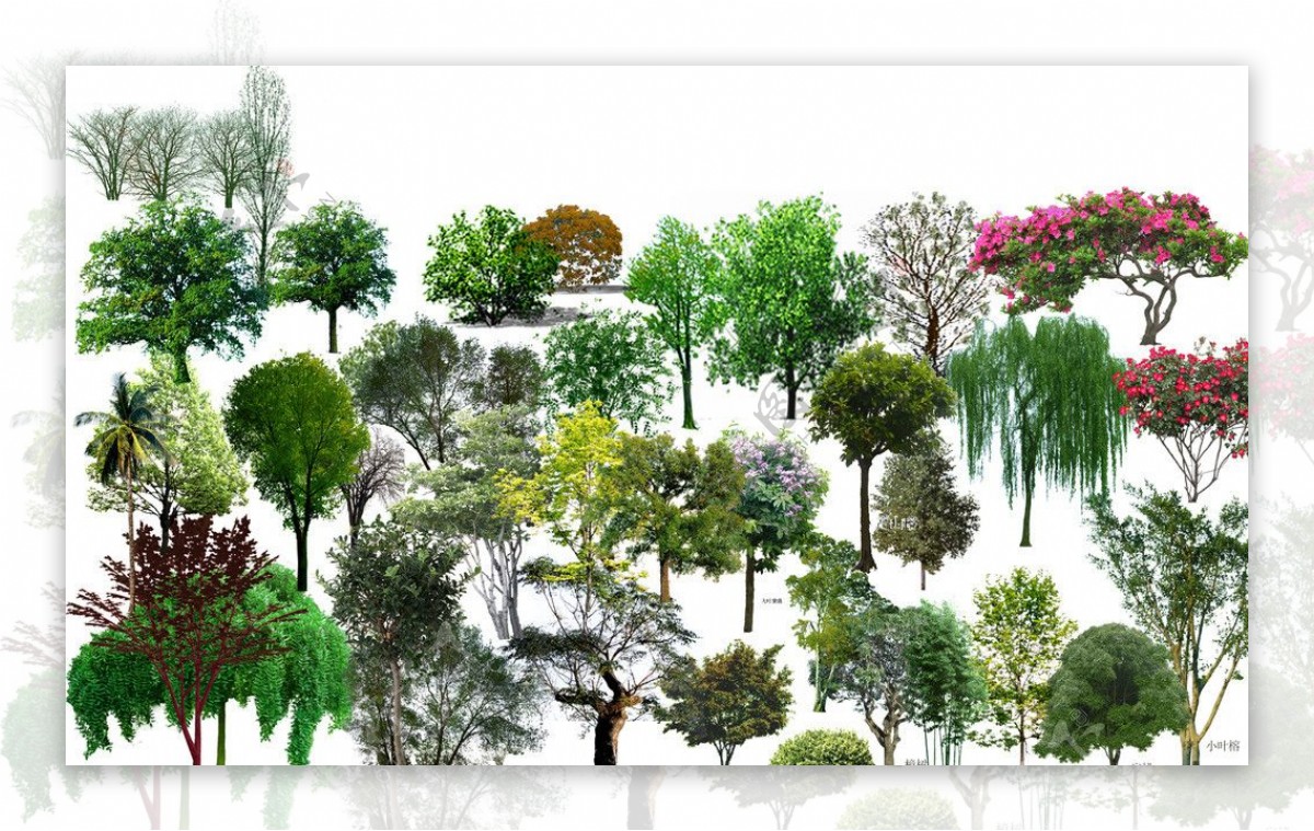 PSD树木景观配景图片