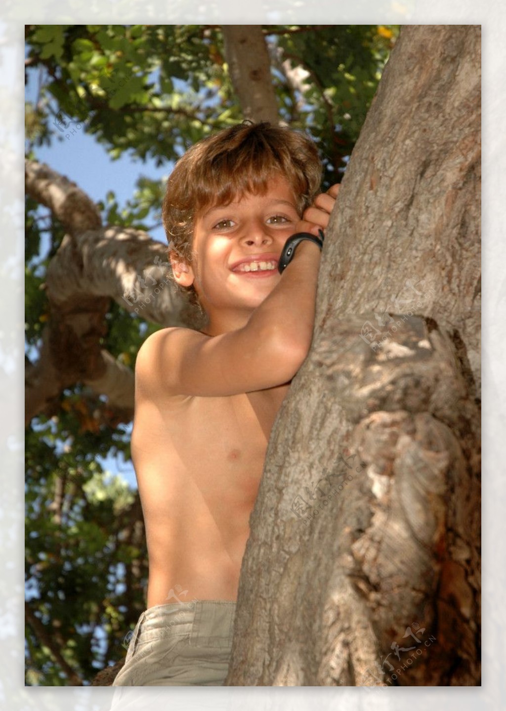 在树上笑的男孩图片