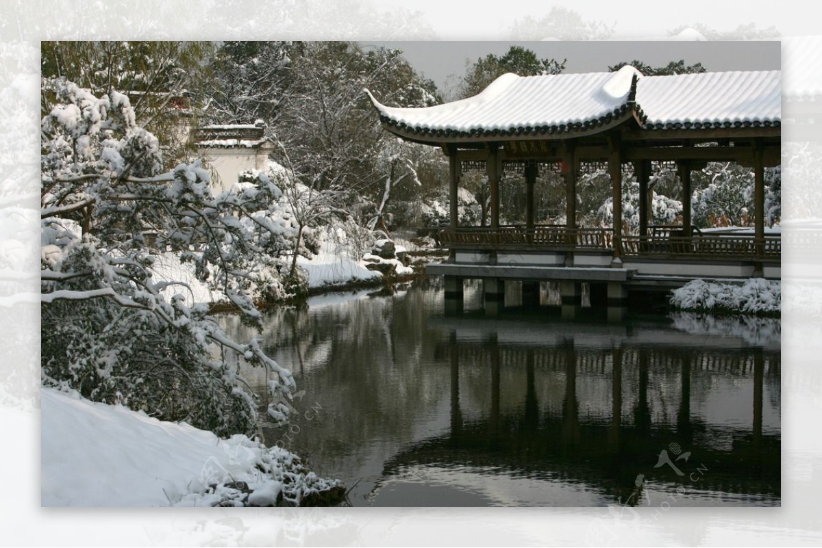 杭州花圃雪后初晴图片