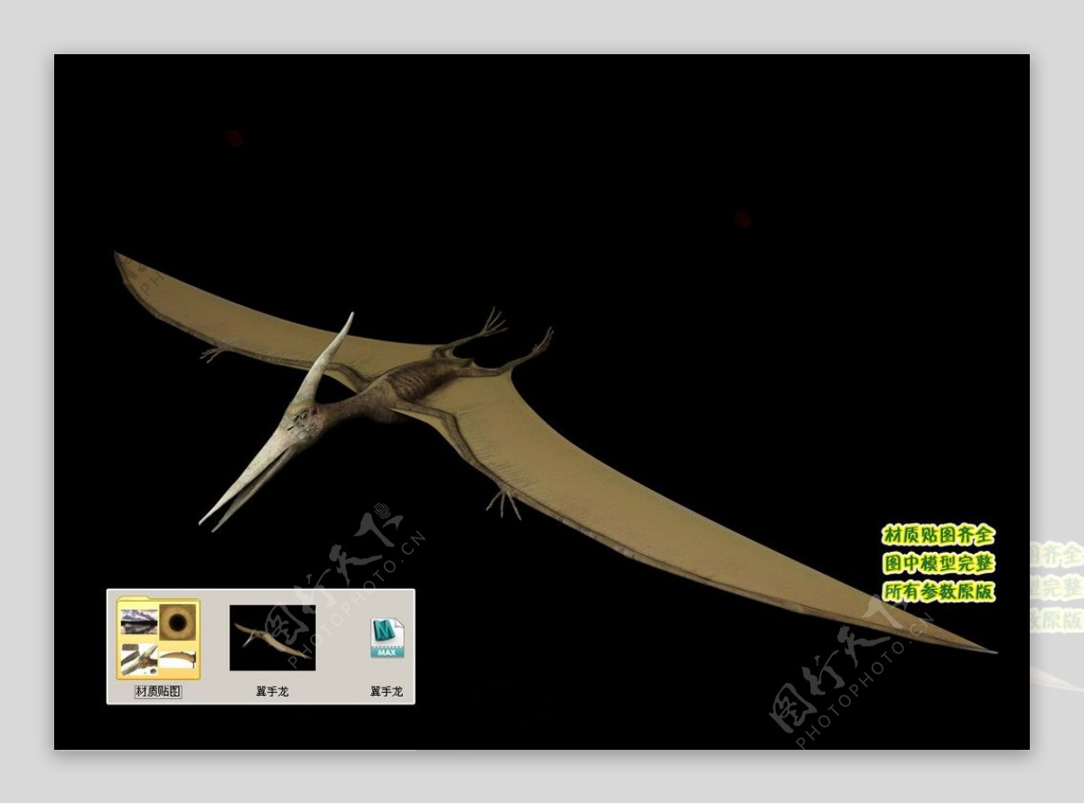 翼手龙3D模型图片